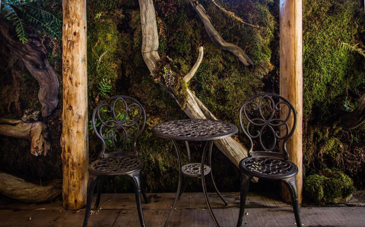 מלון ארקטה The Front Porch Hidden Oasis מראה חיצוני תמונה